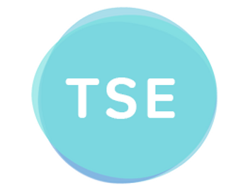 Es wird das TSE-icon dargestellt.